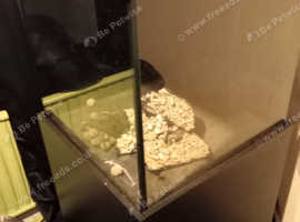 60g cube tank 2x2x2