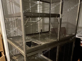 Chinchilla or Degu cage