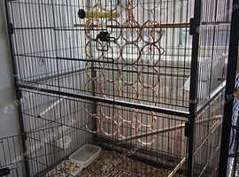 Bird cage