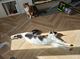 Two energetic sisters