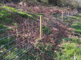 All aspects of fencing and tree work