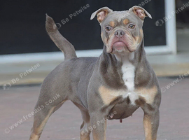 Sweet adult girl pinky
