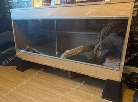 2ft x 4ft vivarium set up
