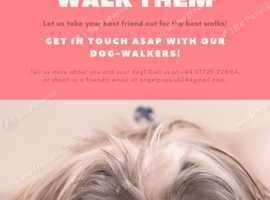 Dog walker and pet sitting