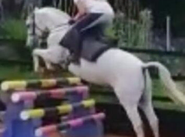 Jumping pony