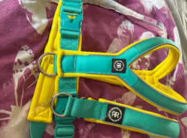 Bullybillows collar and harness