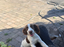4 month old boy