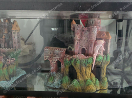 4 Large axolotl with Tanks COMPLETE SET