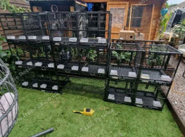 7 double bird cages