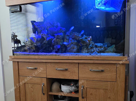 marine tank complete