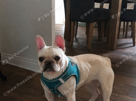 Ella