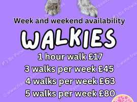 Dog Walkies bundles