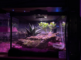ISO hobbiest breeders