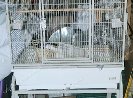 Rainforest Large cage