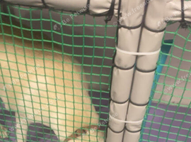 Female lab