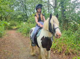 7yr old 13.2hh safe first pony and a fun safe hack