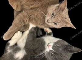 Mother and son to stay together