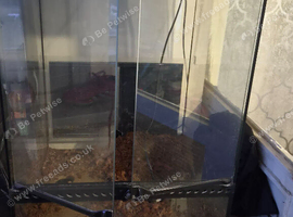 Multiple vivs and exo terra tank for sale
