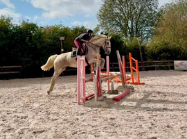 THE ULTIMATE SCHOOLMISTRESS
