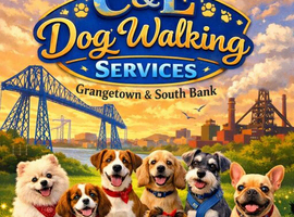 Dog walking Grangetown and south Bank only