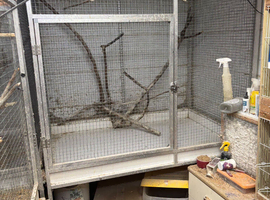 Parrot flight cages