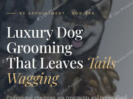 Dog grooming