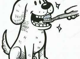 Canine Dental Hygienist