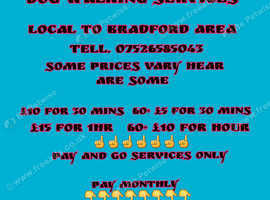 Walk yours dog walking service