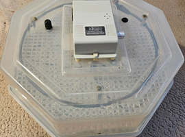 Large incubator