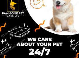All in one pet service