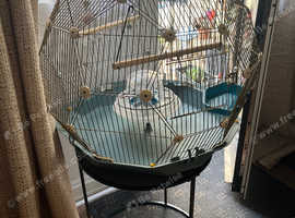 Bird cadge