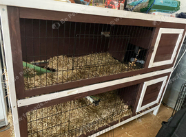 4ft Pawhut Guineapigs hutch