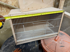 Breeding cage for sale
