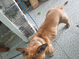 Selling millie