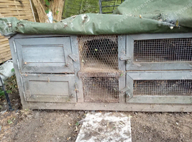 Double hutch Solid
