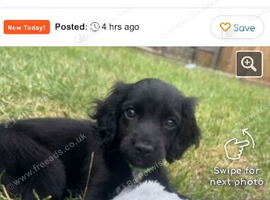 Marley