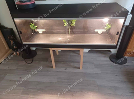 Vivarium LARGE 4 foot with electrics