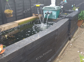 DJB POND FISH REHOMING