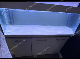 Fish tank 4f