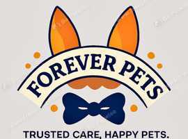 Forever Pets Services