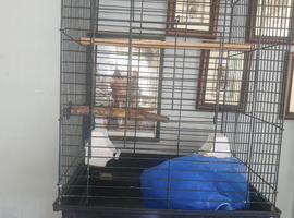 Bird cage