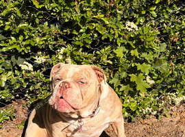FEMALE BITCH 3 YEARS