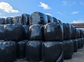 Round bale haylage for sale