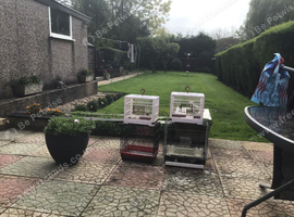4small cages