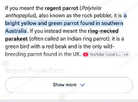 Regon parrot