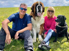 EXPERIENCED IN-HOUSE PET SITTERS IN NORFOLK TO LOOK AFTER YOUR ANIMALS WHILE YOU TAKE A WELL EARNED BREAK