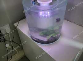 Cylinder tank with accessories
