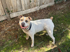Doris