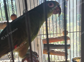 Beautiful boy