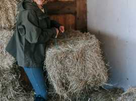 Excellence in Equine Employment